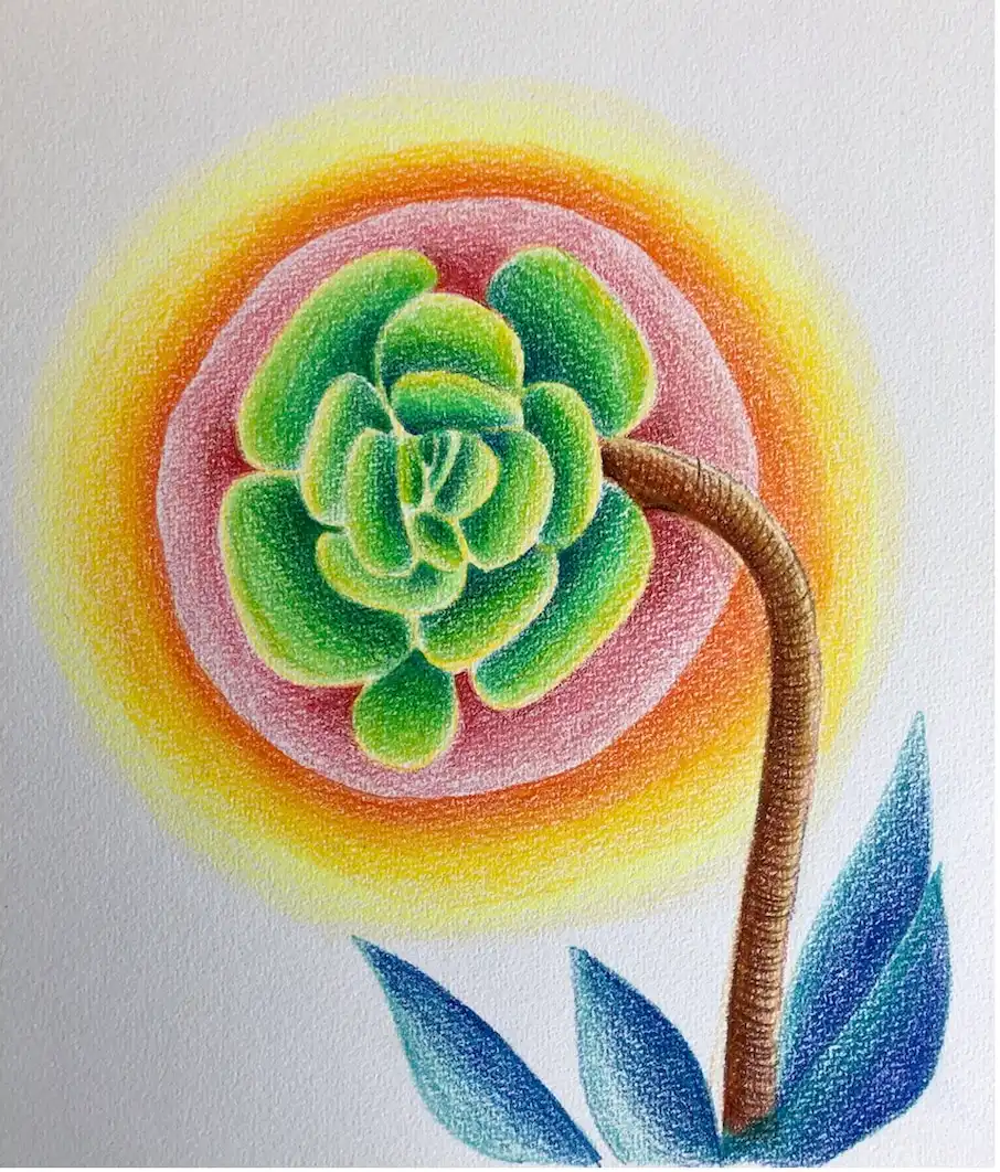 flower Vanina Gallo